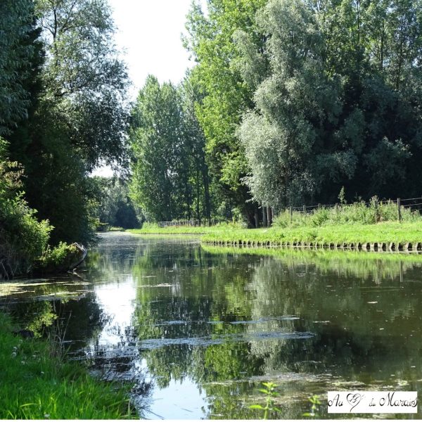 Gîte « Au Cœur du Marais »